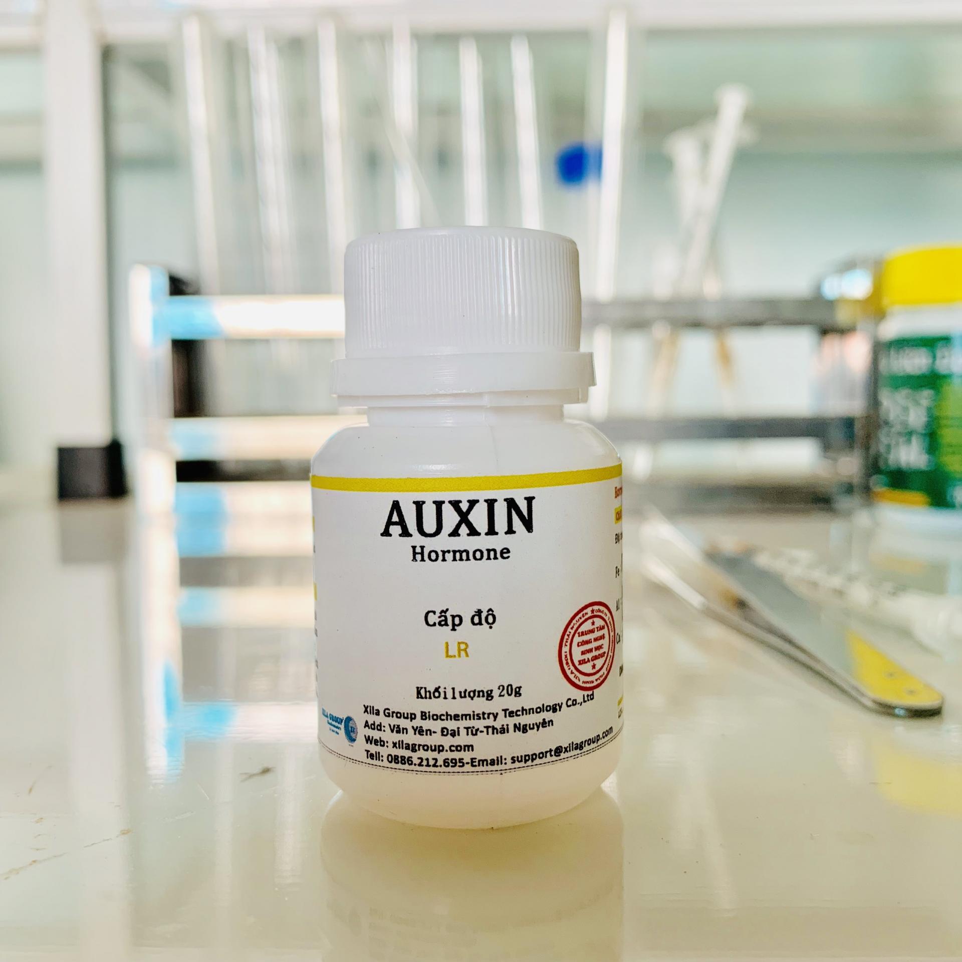 hormone thực vật Auxin, gây rễ trên lan