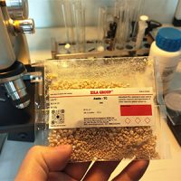 Auxin TC 98%
NAA
IBA
2,4 D